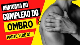 Anatomia do Complexo do ombro  parte 13 [upl. by Prent991]