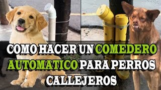 ¿Como hacer un DISPENSADOR de COMIDA para perros callejeros  Cheke 97 [upl. by Leugar]