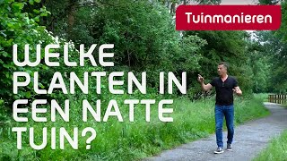 Welke planten doen het goed in een natte tuin  Tuinmanieren [upl. by Einor]