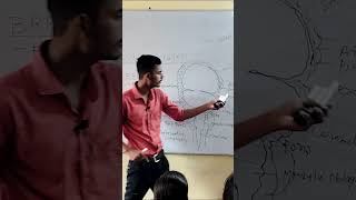 Brain Basics Class Recap brain structureofbrain clinicalcareinsights class10thbiology [upl. by Yebot]