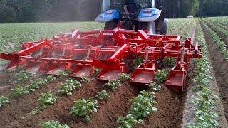 GRIMME GH 6 Eco  Ridging Hiller [upl. by Orips428]