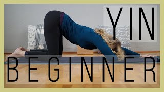 30 min Beginner Yin Yang Yoga Full Body Class  Yoga with Dr Melissa West 426 [upl. by Orimlede221]