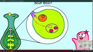 Plant Reproduction Amoeba Sisters WS 12 11 14 [upl. by Barby]