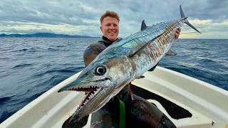 Worlds Most Beautiful Reefs Spearfishing FIJI Islands [upl. by Llerrad]