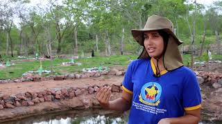 Manejo do uso sustentável da terra no semiárido do Nordeste brasileiro – Sergipe [upl. by Kosiur]