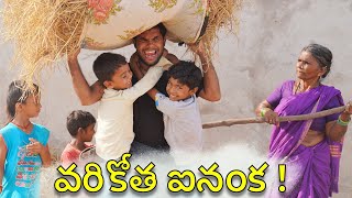 Vari kotha ainaka  Village Paddy farming part 2  my village show comedy  gangavva [upl. by Abbub530]