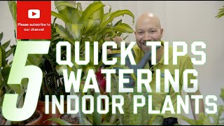 5 Quick tips on watering your indoor plants [upl. by Cadel]