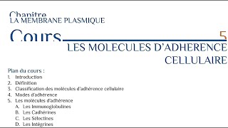 Les molécules d adhérence cellulaire [upl. by Gathard]