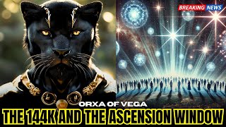 quotTHE FIRST WAVE Will Only The 144K Ascendquot  Orxa  The Vega Collective [upl. by Boice535]