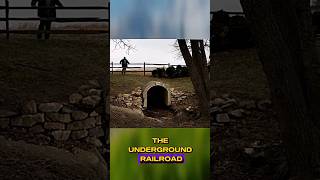 The Underground Railroad [upl. by Nahtanaoj522]