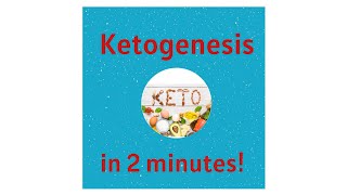 Ketogenesis and Ketones in 2 minutes [upl. by Krever]