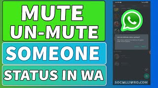 How to Mute and Unmute Someone Status Updates in WhatsApp [upl. by Renaldo]