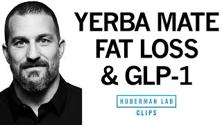 What is GLP1 amp How Does It Reduce Appetite amp Promote Weight Loss  Dr Andrew Huberman [upl. by Sokim]