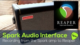 Using the Positive Grid SPARK amp as an AUDIO INTERFACE to record audio in REAPER [upl. by Nhguav]