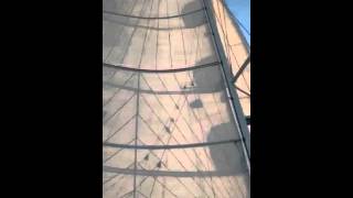 Lindenberg 65 Force Sailing Video [upl. by Dyane]