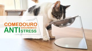 O Melhor Comedouro para Gatos  Ergonômico AntiStress e AntiQueda  Gato é Vida  100 Inox [upl. by Retsof319]