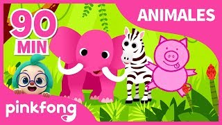 Canciones de Animales para Niños  Animales  Pinkfong Canciones Infantiles [upl. by Federica]