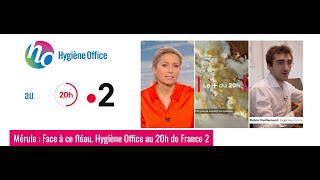 Les propriétaires face au fléau de la mérule  Hygiène Office au 20h de France 2 [upl. by Vigor133]