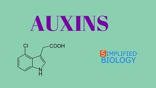 AUXINS for NEET AIIMS AIPMT JIPMER PREMED [upl. by Blatt]