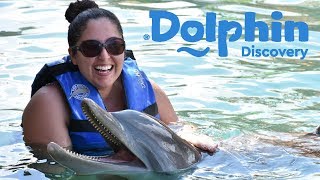 Dolphin Encounter  Shore Excursions  Royal Caribbean Cruise  Costa Maya Mexico [upl. by Schechinger]