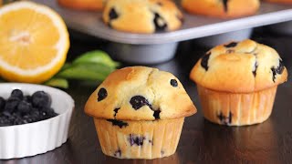 Blueberry Lemon Muffins  Bakery Style Muffins  How Tasty Channel [upl. by Gelhar360]