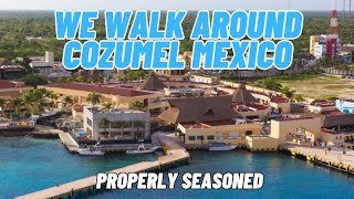 Cozumel Mexico Cruise Port Walk Through  Royal Caribbean  Properly Seasoned [upl. by Aibat941]