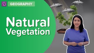 Natural Vegetation  Class 8  Geography  Learn With BYJUS [upl. by Trescott119]