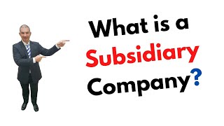 What is a Subsidiary Company [upl. by Akiram413]