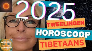 Tweelingen Horoscoop 2025 [upl. by Llehcar3]