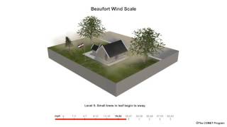 Beaufort Scale Wind Speed Example [upl. by Antoine]