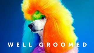 Well Groomed 2019  Trailer HD  SXSW  Creative Dog Grooming  Documentary Movie [upl. by Alekehs]