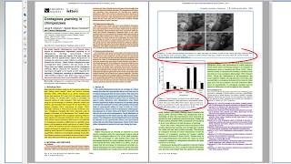 The Structure of Scientific Research Papers [upl. by Omlesna965]