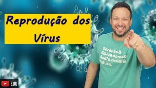 Reprodução dos Vírus  Microbiologia  Biologia com o Tubarão [upl. by Ardnasxela]