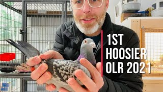 Visit to Aztec Racing Pigeon Loftthe nicest racing pigeon loft I have ever seen [upl. by Silbahc]