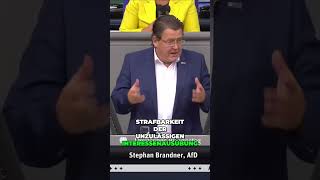 Die Strafbarkeit der unzulässigen Interessenausübung Ein Überblick Stephan Brandner Bundestag [upl. by Blaze]