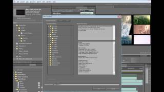 Adobe Creative Suite 5 Production Premium Overview [upl. by Hareenum717]