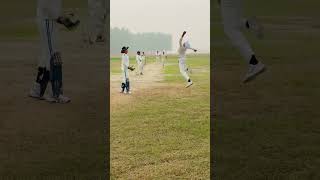 An incredible catch by our slip fielder What would you say about this moment Share your thoughts [upl. by Tamsky]