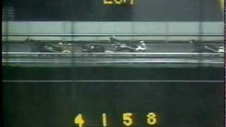 1978 Meadowlands Pace  Falcon Almahurst amp William Haughton [upl. by Enaitsirk]