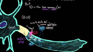 Khan Academy  The Ischemic Cascade in Stroke [upl. by Blinnie]