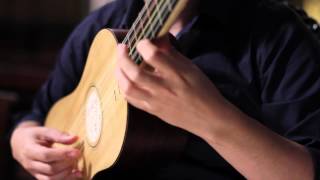 Canarios  Gaspar Sanz  Baroque Guitar [upl. by Amis668]