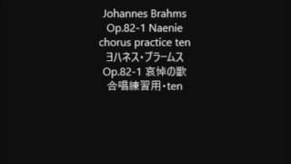 Johannes Brahms Op821 Naenie chorus practice ten [upl. by Jamnes]