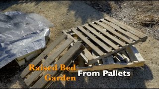 Raised Bed Garden from Pallets [upl. by Rafat]