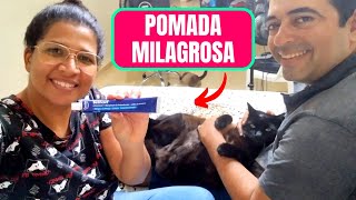 POMADA para TODO Tipo de FUNGOS SARNAS E MICOSE para PETS e HUMANOS 2022  Casal guimaraes [upl. by Dutchman]