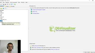 Como usar o DbVisualizer Querys [upl. by Sela]