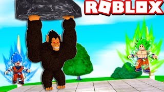 OOZARU MACACO GIGANTE VS BROLY NO ROBLOX Dragon Ball [upl. by Eugeniusz]