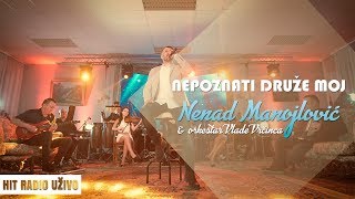 Nenad Manojlovic  Nepoznati druze moj orkestar Vlade Vrcinca [upl. by Donalt446]