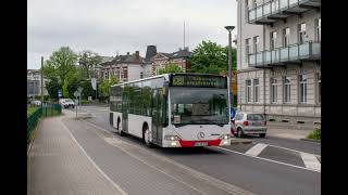 SoundMercedes Benz O530 Citaro  ZF Ecomat  Verkehrsservice Dominguez SUVD 730 [upl. by Duggan535]