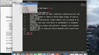 Making A Super Simple Web Page With Sublime Text [upl. by Aisha]