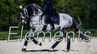 Elements  Dressage Music Video [upl. by Lorrimer]