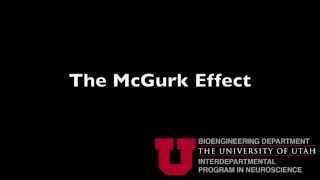 The McGurk Effect [upl. by Lalaj890]